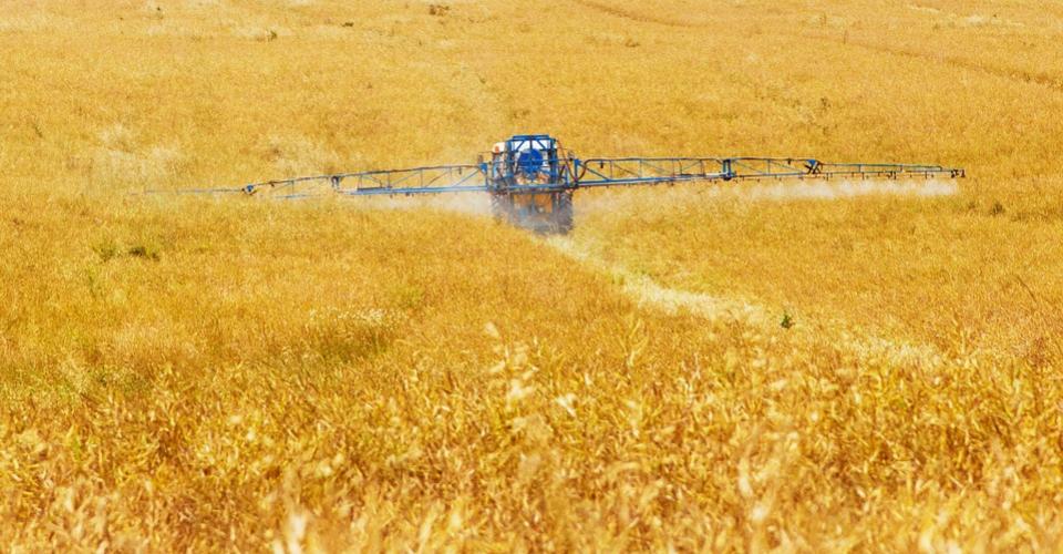Consultazione EFSA: valutazione del rischio cumulativo da pesticidi